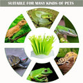 Reptile Humidifier, 3 Pcs, Universal Terrarium HumidifierNo-Electricity Operation for Reptile Tank, Pets Habitat