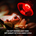 REPTI ZOO 75W Reptile Heat Lamp Bulb, 2PCS Day & Night Basking Spot Light Combo Pack Includes Infrared Heat Lamp and UVA