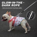 Retractable Dog Leash, 20 FT Dog Walking Leash for Small/Medium Dog or Cat up to 44 lbs, Strong Nylon Cord, Tangle Free, One-Hand Brake