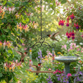 NESTURROW Hummingbird Swing & Perch for Outdoor – Rust-Resistant Metal Bird Perch with Colorful Beads, Easy Hanging Garden Accent Near Feeder, Bird Bath & Hummingbird House (1 PCS)