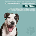 Molly Mutt Dog Bed Liner, Water-Resistant Liner, Washable, 36"x5"