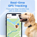 Tractive Smart Dog GPS Tracker | Live Pet Tracker with Virtual Fence | Vital Signs Monitoring of Heart & Respiratory Rat