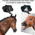 Sukh Acrylic Horse Mirror - 16.92 x 12.99 in Non Glass Stall Mirror