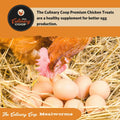 Fluker's Culinary Coop Premium Chicken Treats, Mealworms 3.5 oz, High Protein Worm, Nutritious Treat