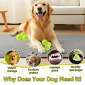 Swingers Squeaky Tennis Balls for Dogs,2.5 inch Training Tennis Balls,Exercise Ball for Pet Dog with Mesh Carry Bag Easy to Transport (Multicolor, 6 Pack)