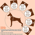 EMUST Dog Life Jacket, Adjustable Sports Style Swim Vests for Boating