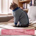 Cat Recovery Suit for Spay & Neuter,Hind Leg Healing Protector