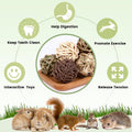 Bunny Rabbit Chew Grass Balls, Rolling Chew Toys for Small Animals (8 Pcs)