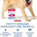 Native Pet Dog UTI Treatment - Cranberry Supplement for Dogs - Supports Normal Bladder Function, Urinary Tract & Kidney Health - Real Cranberry Extract, D-Mannose & Probiotics - Air-Dried - 60 Chews