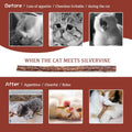 Silvervine Sticks for Cats, 30PCS Kitten Toys Catnip Toys Matatabi Silvervine Sticks Kitty Chew Toys Wooden Stick Kitten