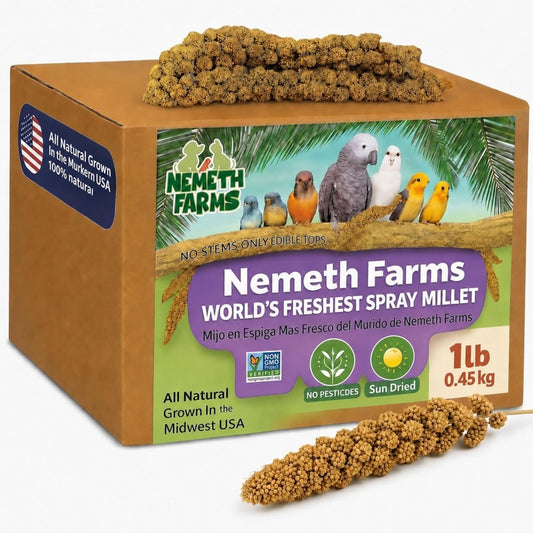 Nemeth Farms Spray Millet - Edible Tops Only, Non-GMO and Sun-Dried - 1 lb for Parakeets, Canaries and Finches