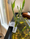 sogiv 3 Holes Aquatic Plant Cups, Hanging Aquarium Plant Holder for Fish Tank Plants Potting, Aquascape Accessories Deco