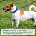 Reflective Martingale Dog Collars. Dog Collar with Quick Release Buckle. Adjustable Soft Padded Breathable Nylon Pet Col