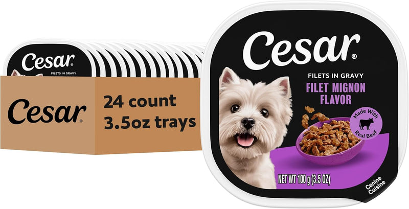 Cesar Filets in Gravy Adult Wet Dog Food Filet Mignon Flavor, 3.5 oz. Easy Peel Dog Food Tray, 24 Count (Pack of 1)