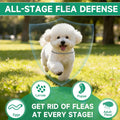4 Pack Flea Collar for Dogs, 32 Months Flea and Tick Prevention for Dogs