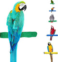 Sweet Feet and Beak Comfort Grip Safety Bird Perch, Large Pedicure Perch