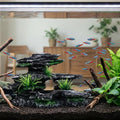 Aquarium Decor Mountain View Stone Ornament, Premium Landscape Fish Tank Decorations, Fish Tank Accessories, Ideal for B