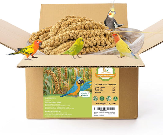 MEILLEURE 2LB Spray Millet Bird Treat for Parakeets, Natural Sun-Dried Birds Millet Spray for Parrots, Finches, Cockatiel, Budgie & Hamster, Bird Food Bulk