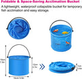 3Pcs Drip Acclimation Kit with Foldable Fish Acclimation Bucket, Drip Acclimation System and Aquarium Fish Net, Fish Tan