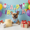 Supet Dog Birthday Decorations for Small & Large Dogs, Dog Boy Girl Birthday Kit with Party Hat | Happy Birthday Banner & Bandana, 1st Birthday Party Set, Pet Birthday Party Supplies (Blue, S)