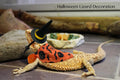 4Pcs Halloween Bearded Dragon Witch Costume Set with Bearded Dragon Witch Hats, Bandanas, Wizard Hat, Pumpkin Candy Patt