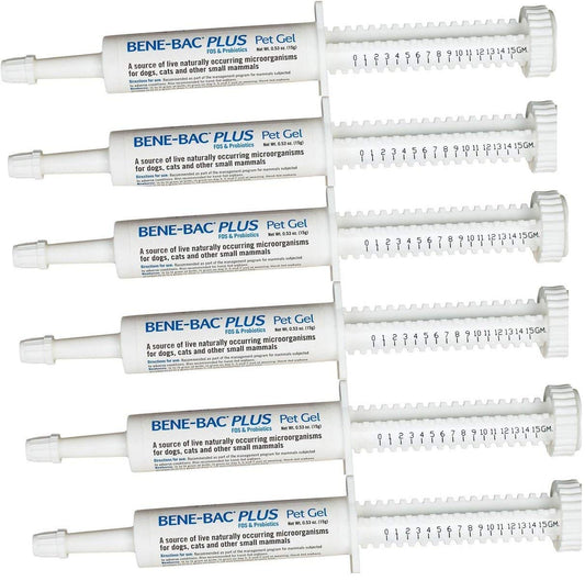 6 Pack Bene-Bac Plus Gel, 15g Syringe 6 -Pack