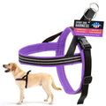 ComfortFlex Sport Dog Harness – No-Choke, Fully Padded, Non-Chafing Harness with Control Handle – Reflective, Lightweight, Adjustable for Active Dogs – Medium, Purple