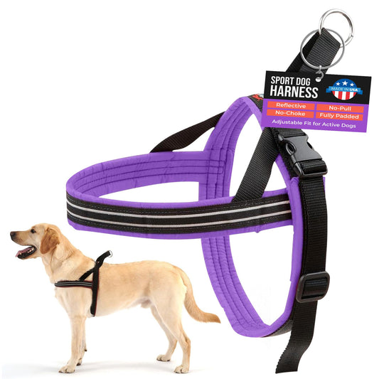 ComfortFlex Sport Dog Harness – No-Choke, Fully Padded, Non-Chafing Harness with Control Handle – Reflective, Lightweight, Adjustable for Active Dogs – Medium, Purple