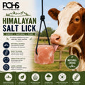 POHS Himalayan Salt Lick on Rope 6 lb Each (Pack of 2) for Horses & Livestock – Natural Pink Mineral Salt Block - Salt L