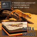 Reptile Heat Pad, 6" X 8" 8W, Heating Pad for Reptile Tank, Lizard, Snake, Bearded Dragon, Hermit Crab, Leopard Geckos T