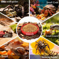 12-Pack Small Feeding Dish for Reptiles, Colorful Feeder Bowls for Isopods, Springtails, Dubia Roaches & Dwarf Invertebr