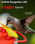 Solar Hummingbird Feeder with Camera, 2K Live View AI Identify Camera