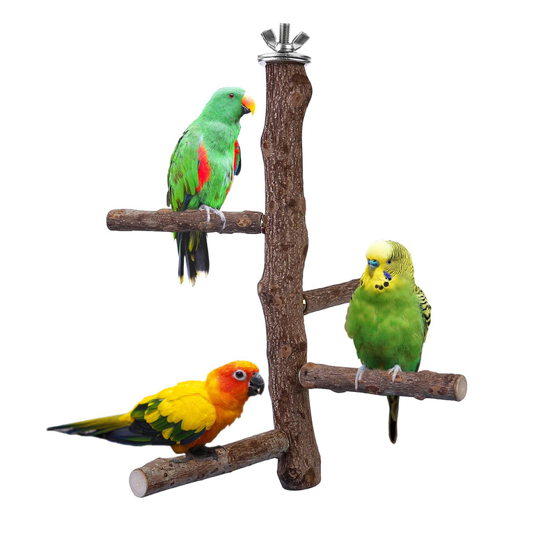 Filhome Bird Perch Stand Toy, Natural Wood Parrot Perch Bird Cage Branch Perch Accessories for Parakeets Cockatiels Conures Macaws Finches Love Birds (M: 10