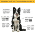 Detachable Pet Dog Grooming Clipper Ceramic Blade,Compatible with Andis Size 30 Cut Length 1/50"(0.5mm),Compatible with 