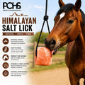 POHS Himalayan Salt Lick on Rope 6 lb Each (Pack of 2) for Horses & Livestock – Natural Pink Mineral Salt Block - Salt L