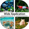 2 Pcs Shrimp Feeding Dish, Aquarium Feeding Dish, Fish Tank Feeder Dishes, Clear Aquarium Shrimp Feeders Bowl Freshwater