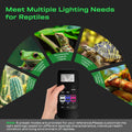 2 Pack UVB Reptile Lights with Remote, UVA UVB Light with Timer
