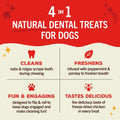 Stella & Chewy's Dental Delights with Freeze-Dried Chicken - Medium Dental Treats for Dogs, 23.2 Ounce Bag
