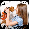 Dog Halloween Outfit Adorable Ruffle Dog Halloween Dress with Elegant Bowknot Tulle Puppy Clothes for Small Medium Dogs 