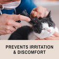 Eye Envy Fresh Ear Cleaning Wipes for Cats. Made in The USA from Natural Ingredients. Unscented. Safe and Non-Irritating. Removes Dirt, Debris, and Wax buildup. 60 Count.