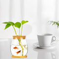 Desktop Fish Bowl Clear Glass Small Fish Tank with Wood Lid and Bamboo Stand for Betta Fish Plants Terrarium Home Office