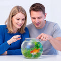 Mifoci 3 Pcs Fish Bowl Plastic Fish Tank Clear 100 oz Goldfish Bowl Multipurpose Round Desktop Aquarium Transparent for 