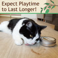 KittiKrack Organic Silvervine Catnip Powder Substitute for Cats & Kittens | All-Natural Wild Harvested Silvervine Powder