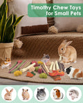 ERKOON 33PCS Bunny Chew Toys for Rabbits Teeth, Natural Rabbit Toys Apple Wood Sticks, Carrot, Timothy Grass Treats for 