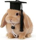 Soochat 2Pcs Mini Graduation Caps with Tassel Small Animal Bachelor Hat Graduation Photo Props Holiday Costume Accessory for Cat Dog (Black)
