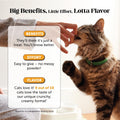 Cat Immune Support Lysine – Allergy Relief & Immune Health Supplement for Cats with L-Lysine, Colostrum, Quercetin & Omega-3 – Soothes Sneezing, Runny Nose & Itchy Skin Chicken, (90-Day Supply)
