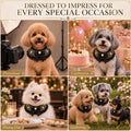 Dog Wedding Collar & Pearl Leash Set for Small Dogs, Black Gold