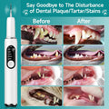 Dog Teeth Cleaning Kit Dog Plaque and Tartar Remover with LED Light 5 Adjustable Modes Electric Toothbrush Pet Teeth Cle
