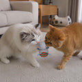 Andiker Cat Plush Toy with Crinkle Paper and Catnip to Chew(Light Gray)