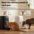 HoneyGuaridan RFID Automatic Cat Feeder with Collar Tag-Activated Personalized Meal, 5G WiFi APP Control Cat Food Dispen